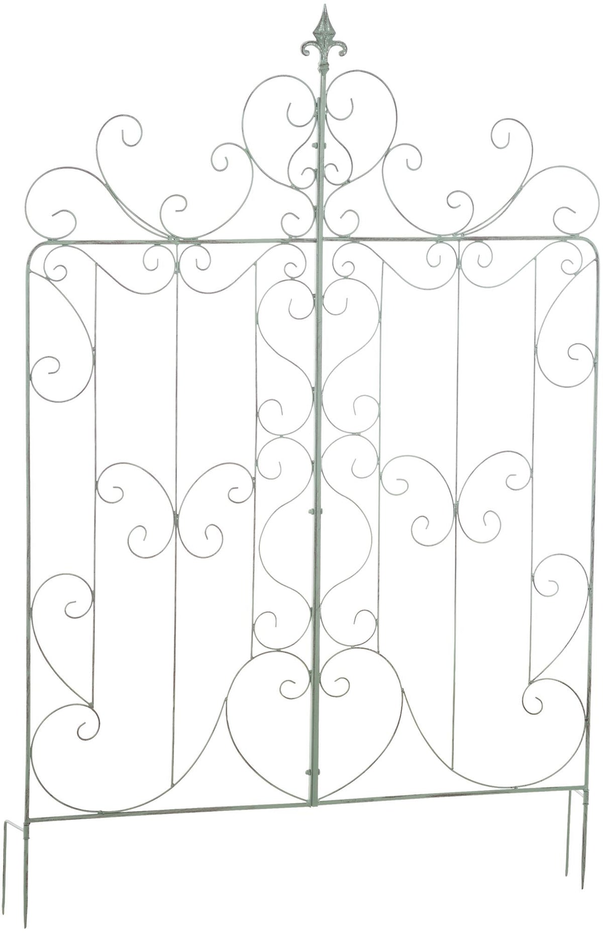 Spaljé Mandevilla 133 x 99 cm