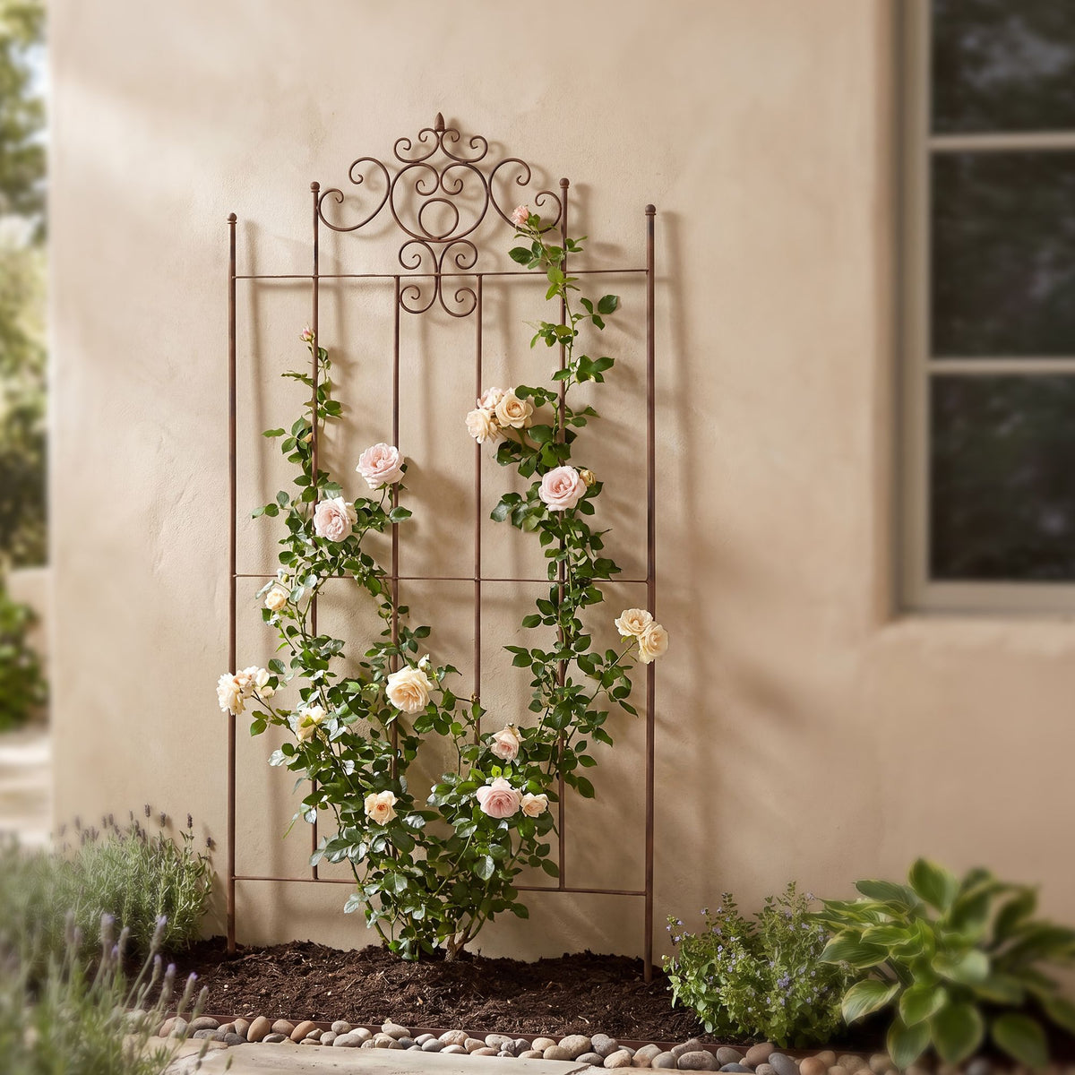 2-pack spaljé Paula 170 x 86 cm