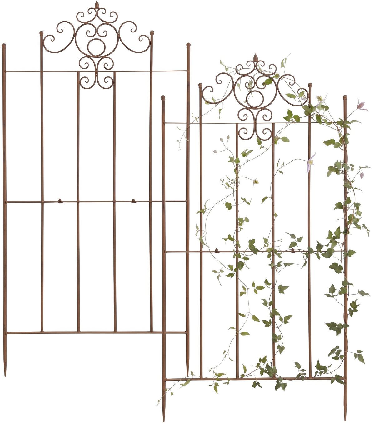 2-pack spaljé Paula 170 x 86 cm