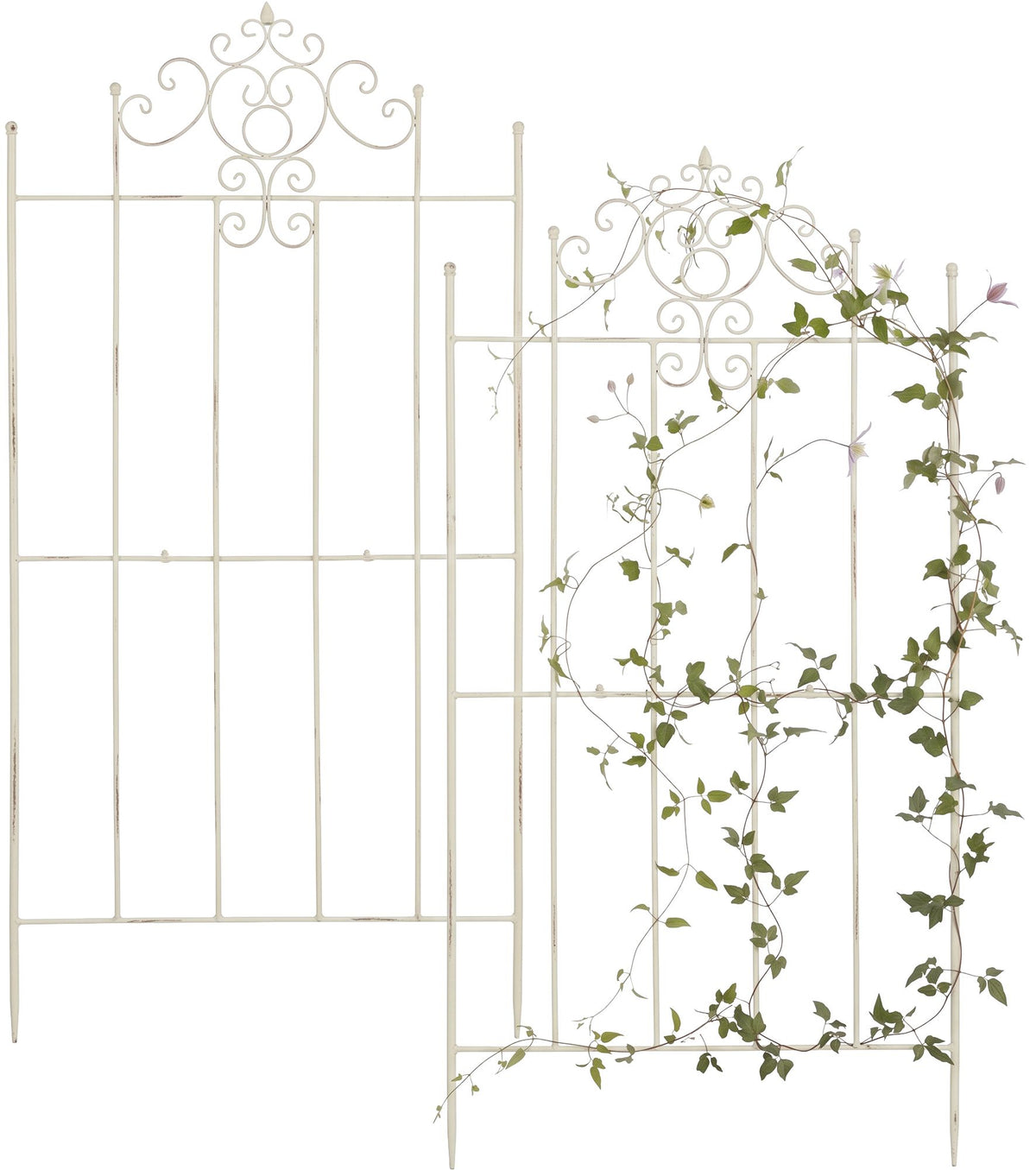 2-pack spaljé Paula 170 x 86 cm